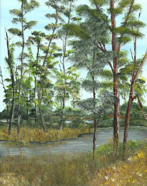 wmWetlandsProofsatof14.jpg