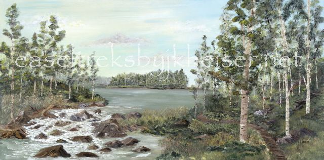 BirchTreeswithaSplash.jpg